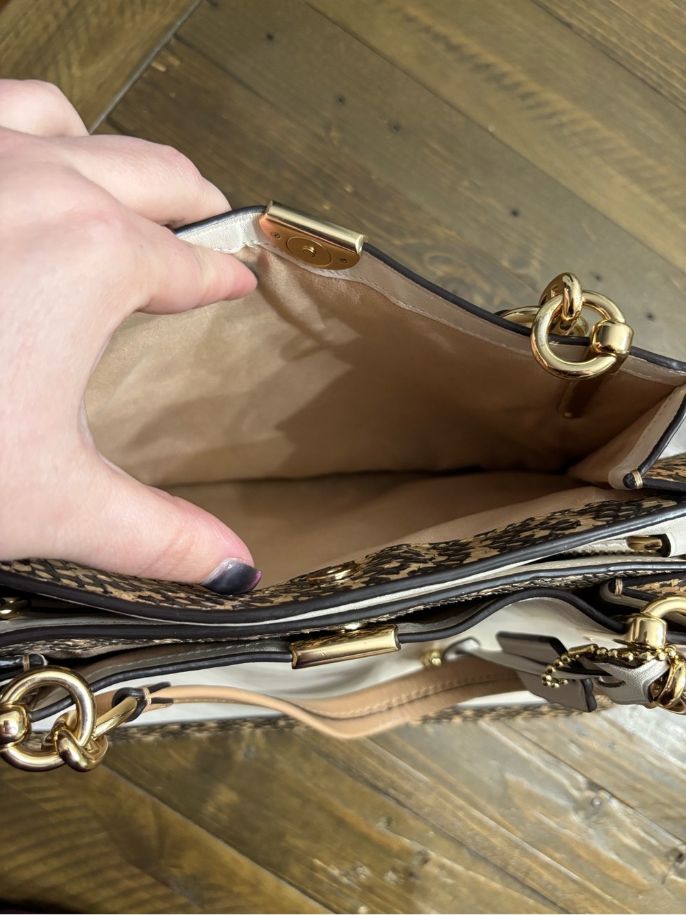 Coach Dreamer 36 in Colorblock with Snake Detail - Picture 13 of 16